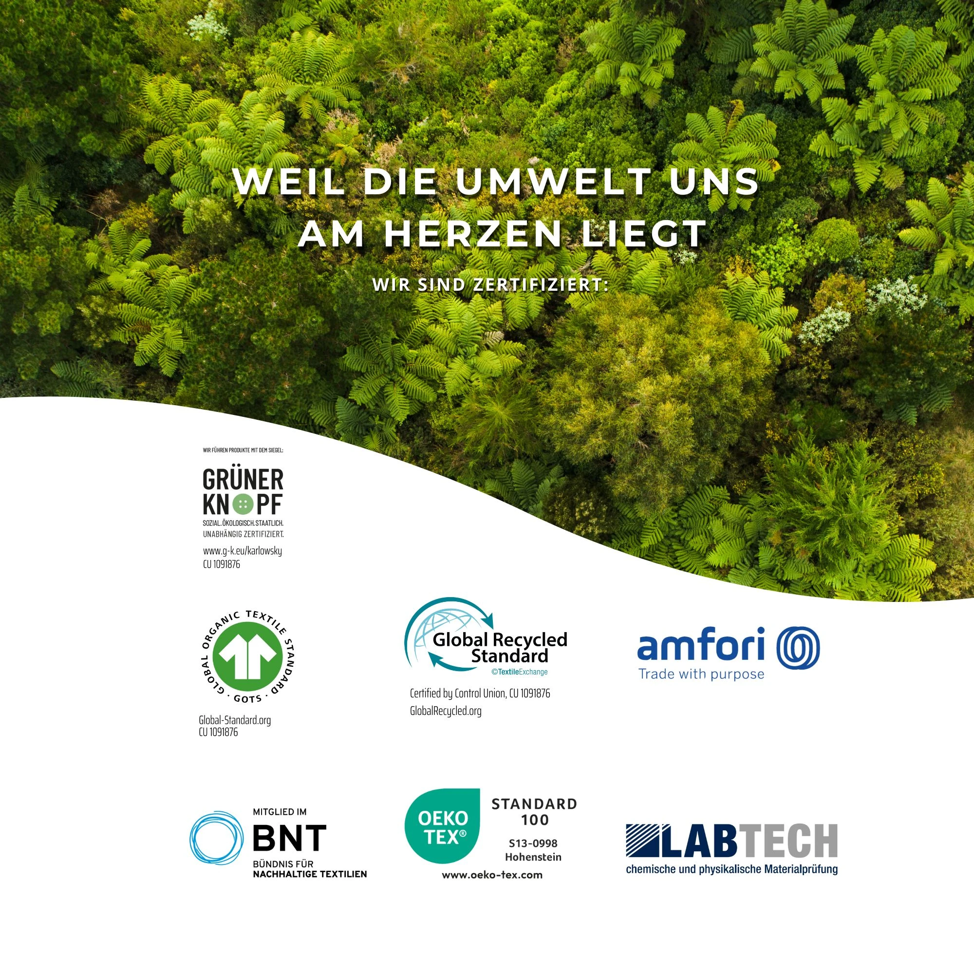 Pflanzenwuchs, Land, Regenwald, Werbung, Wald