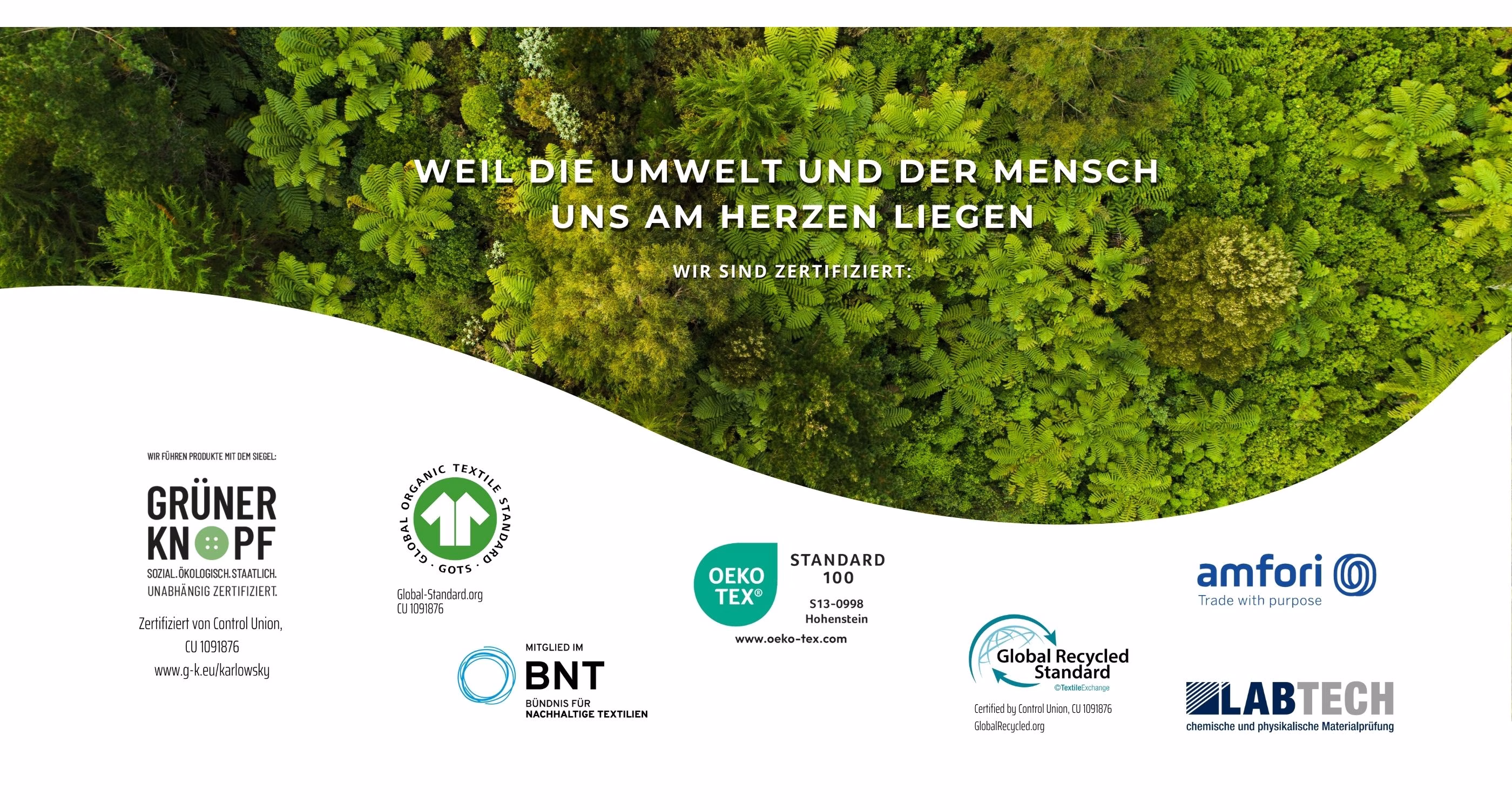 Pflanzenwuchs, Land, Baum, Wald, Regenwald