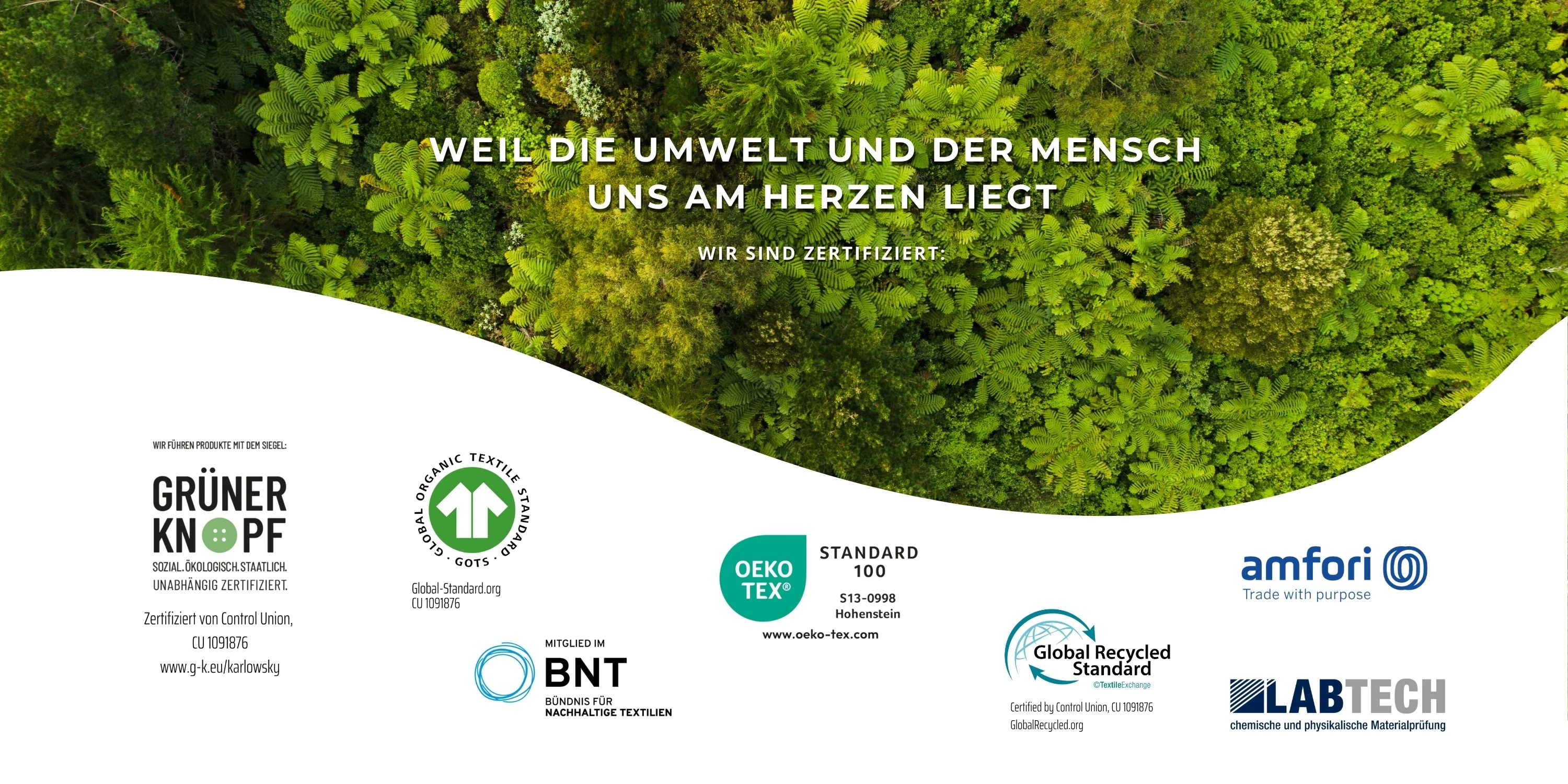 Land, Baum, Vegetation, Waldland, Regenwald