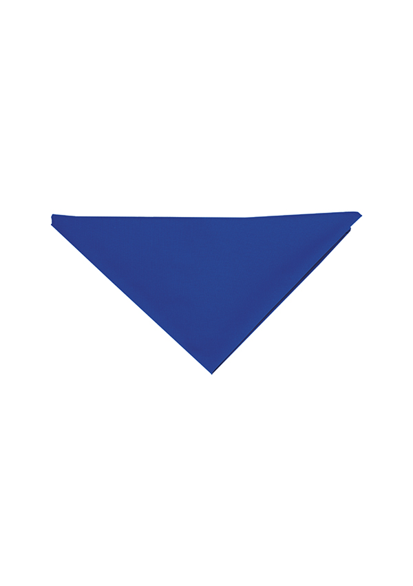 Zubehor, Dreieck, blue, bandana, schal, dreieck, stoff, bandana, schal, blau, dreieck, tuch, blau, Dreieck, Stoff, Bandana, Schal, blue, bandana, scarf, triangle, fabric