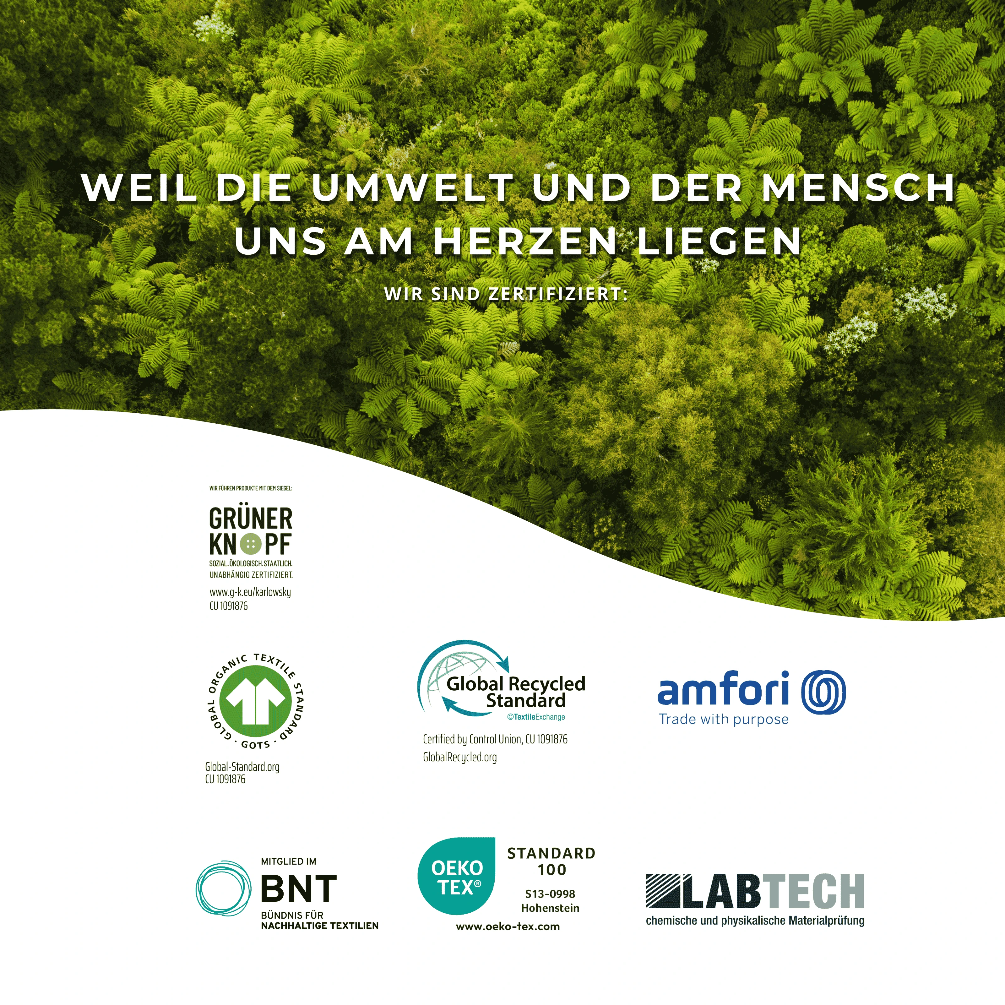 Pflanzenwuchs, Land, Regenwald, Werbung, Plakat