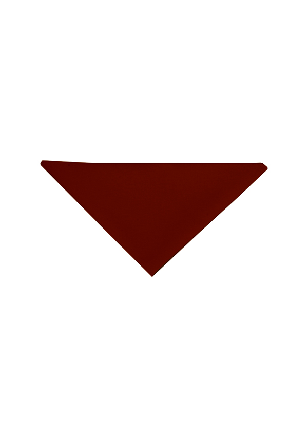 Dreieck, Kastanienbraun, Dreieck, Rot, gefaltet, Stoff?, Zubehör, Dreieck, Rot, Spitze, Form, Geometrie, Dreieck, braun, gefaltet, Stoff, Farbform, triangle, rot, stoff, form, gefaltet, triangle, brown, color-block, shape, downward-pointing