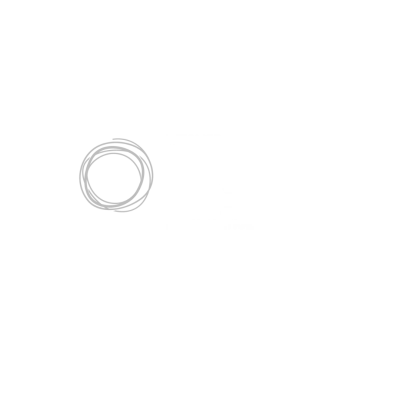 BNT Logo